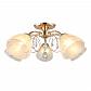 Потолочная люстра Omnilux Caldiero OML-29007-05 - фото №1