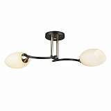 Люстра Wedo Light 66259.01.69.02