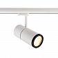 Трековый светодиодный светильник Deko-Light Pleione Focus 707067 - фото №1