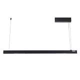 Подвесной светодиодный светильник Arte Lamp Lao A2189SP-1BK