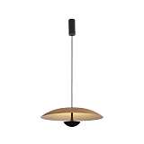 Подвесной светильник Lumien Hall Arta 8007/1PL-WD