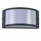 Уличный настенный светильник Ideal Lux Rex-1 AP1 Antracite 092409 - фото №1