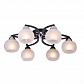 Потолочная люстра Toplight Philomena TL3730X-06BC - фото №1