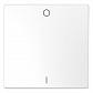 Клавиша одинарная Schneider Electric Merten D-Life MTN3301-6035 - фото №1