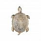 Настенный светодиодный светильник Favourite Turtle 2256-1W - фото №1