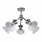 Потолочная люстра F-Promo Ligula 2196-5U - фото №1