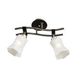 Спот Citilux CL142123