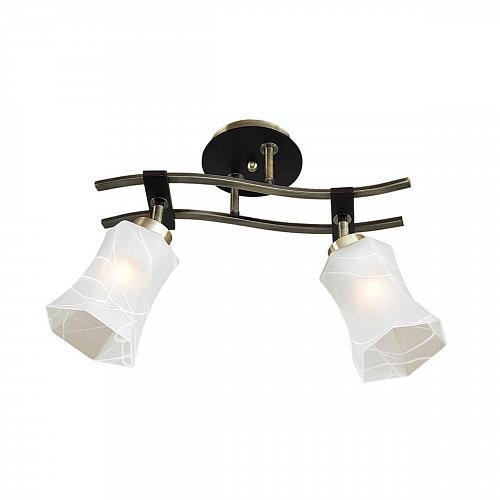 Спот Citilux Мерида CL142123