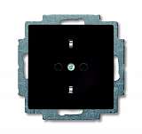 Розетка ABB 2CKA002013A5338