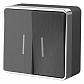 Выключатель двухклавишный с подсветкой Werkel Gallant графит рифленый WL15-03-03 4690389128288 - фото №1