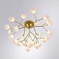 Потолочная люстра Arte Lamp Candy A7274PL-27GO - фото №2