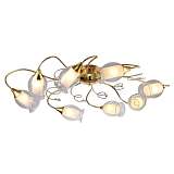 Потолочная люстра Arte Lamp Mughetto A9289PL-8GO