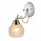 Бра Arte Lamp Intreccio A1633AP-1WG - фото №1