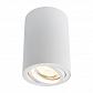 Потолочный светильник Arte Lamp A1560PL-1WH - фото №1