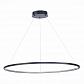 Подвесной светодиодный светильник ST Luce ST603.443.46 - фото №1