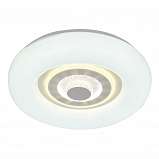 Потолочный светодиодный светильник Escada Casket 10221/SG LED