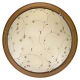 Светильник Toplight TL9650Y-00OA