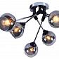 Потолочная люстра Seven Fires Ширли SF3308/6C-MBK-CR - фото №3