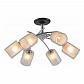 Потолочная люстра Escada 1170/6P - фото №2