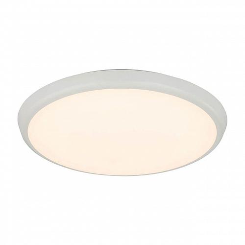 Потолочный светодиодный светильник Globo Aemon 32109