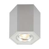 Потолочный светильник Zumaline Polygon cl r 20077-AL