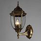 Уличный настенный светильник Arte Lamp Pegasus A3151AL-1BN - фото №3