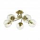 Потолочная люстра Lumion Moderni Breana 4556/5C - фото №1
