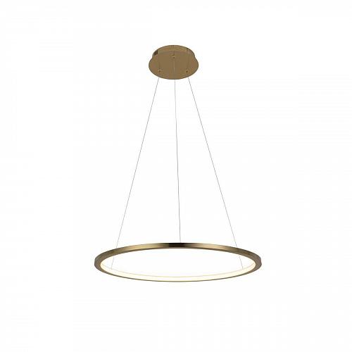 Подвесной светодиодный светильник Loft IT Ring 10014M
