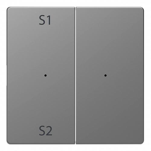 Клавиша двойная Schneider Electric Merten D-Life MTN5226-6036
