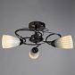 Потолочная люстра Arte Lamp 50 A6545PL-3BC - фото №3