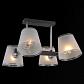 Потолочная люстра Illumico IL9631-4CSQ-79 BK - фото №1