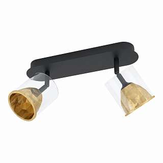 Споты с двумя плафонами с золотистой поверхностью