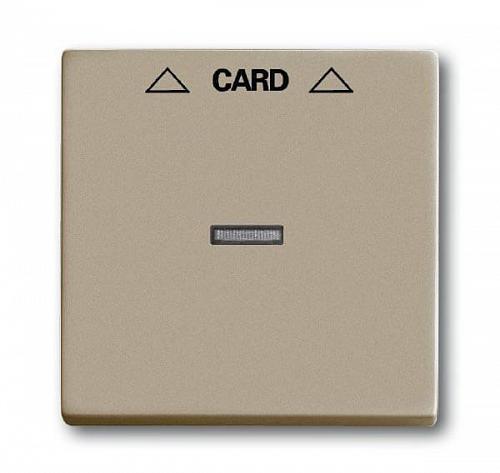 Лицевая панель ABB Basic55 выключателя карточного шампань 2CKA001710A3929