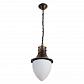 Уличный подвесной светильник Arte Lamp Vienna A1317SO-1BN - фото №1