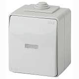 Переключатель одноклавишный с подсветкой ЭРА Эксперт 10AX 250V IP65 11-1610-03 Б0035981