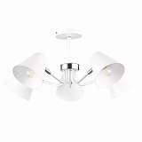 Потолочная люстра Evoluce Lere SLE106702-05