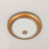 Светильник Citilux CL425352