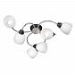 Потолочная люстра Vitaluce V3749-1/6PL - фото №1