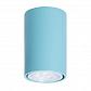Потолочный светильник TopDecor Tubo6 P1 29 - фото №1
