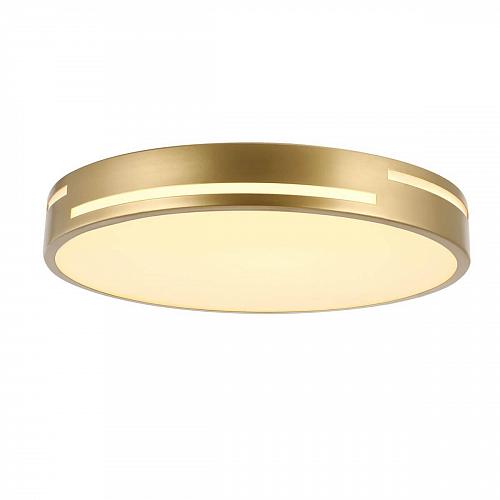 Потолочный светодиодный светильник F-Promo Pall 2745-2C