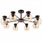 Потолочная люстра Evoluce Rasco SLE108102-08 - фото №1
