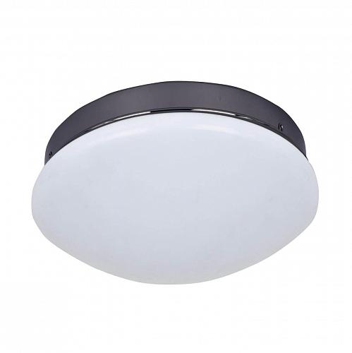 Потолочный светодиодный светильник F-Promo Ledante 2468-1C