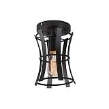 Потолочный светильник Favourite Werk 1521-1U