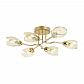 Потолочная люстра Lumion Moderni Lacie 4536/6C - фото №1