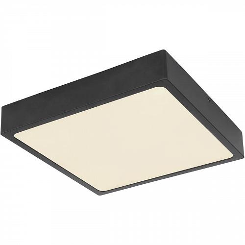 Потолочный светодиодный светильник Globo Echo 12369-22