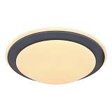 Потолочный светодиодный светильник Globo Deggi 48297-36