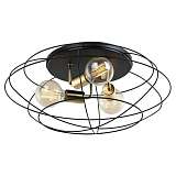 Потолочная люстра Lussole Loft Truman GRLSP-8195