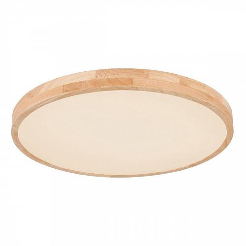 Потолочный светодиодный светильник Globo Leanara 41756-48