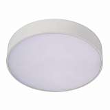 Потолочный светодиодный светильник Aployt Evon APL.0114.09.12