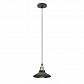 Подвесной светильник ЭРА Loft PL4 BK/BN Б0037439 - фото №1